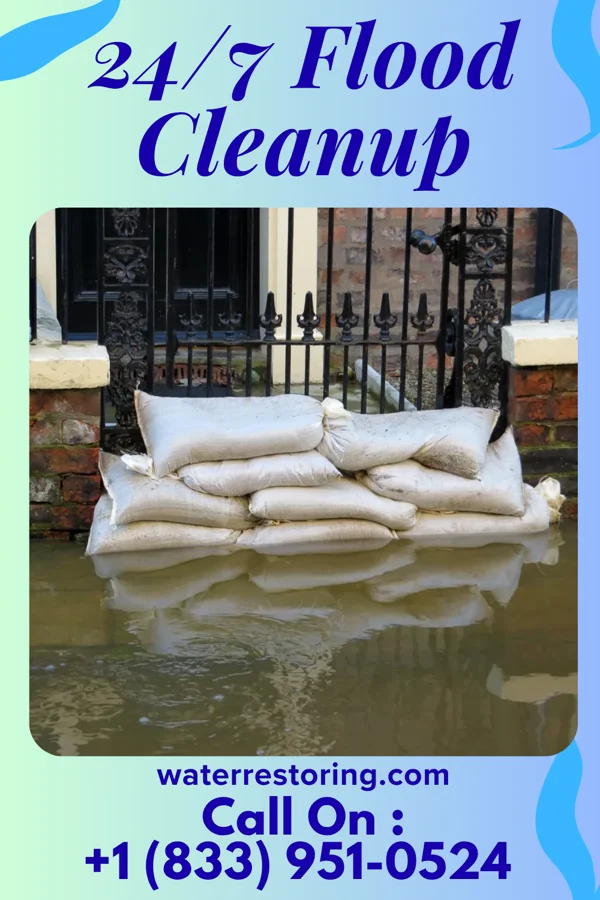 24/7 Flood Cleanup in Vinton, LA
