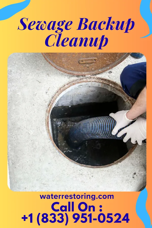 Sewage Backup Cleanup in Vinton, LA